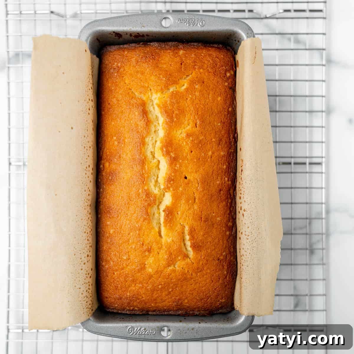 Copycat Starbucks Lemon Loaf Recipe: Moist Citrus Pound Cake Tutorial 8 A golden brown loaf cake in a metal baking pan lined with parchment paper, cooling on a wire rack.