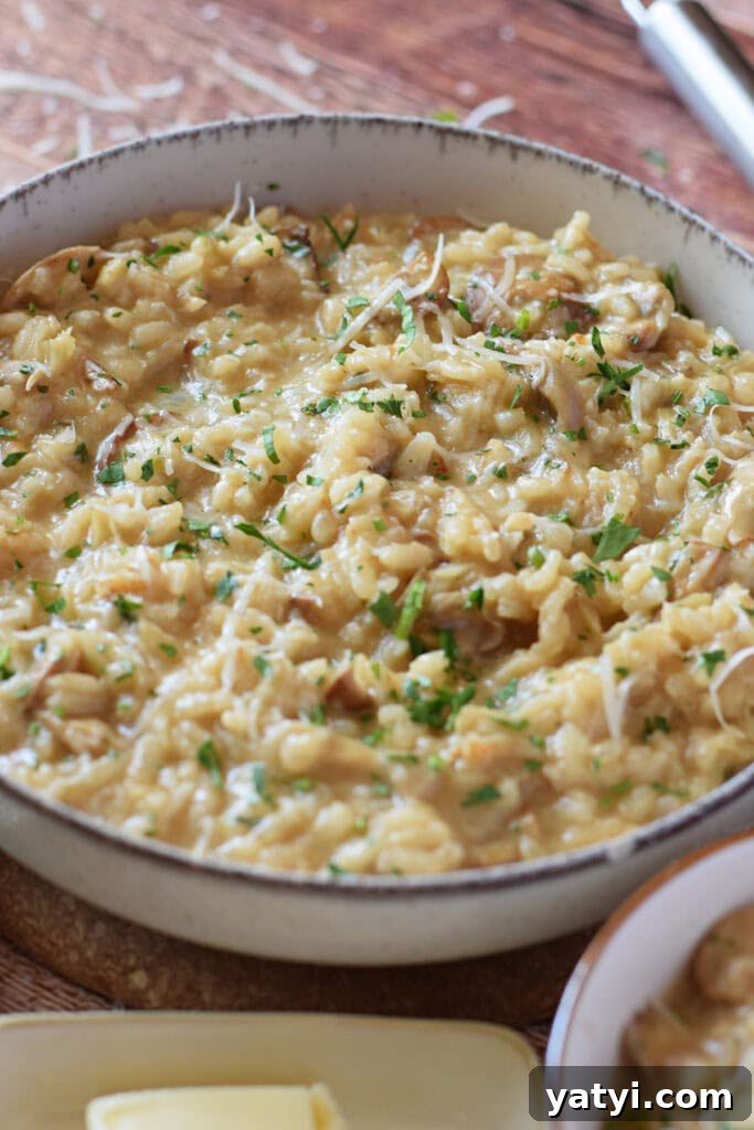 Creamy Mushroom and Leek Risotto Recipe for Cozy Dinners 2 Close up of mushroom and leek risotto in a bowl.
