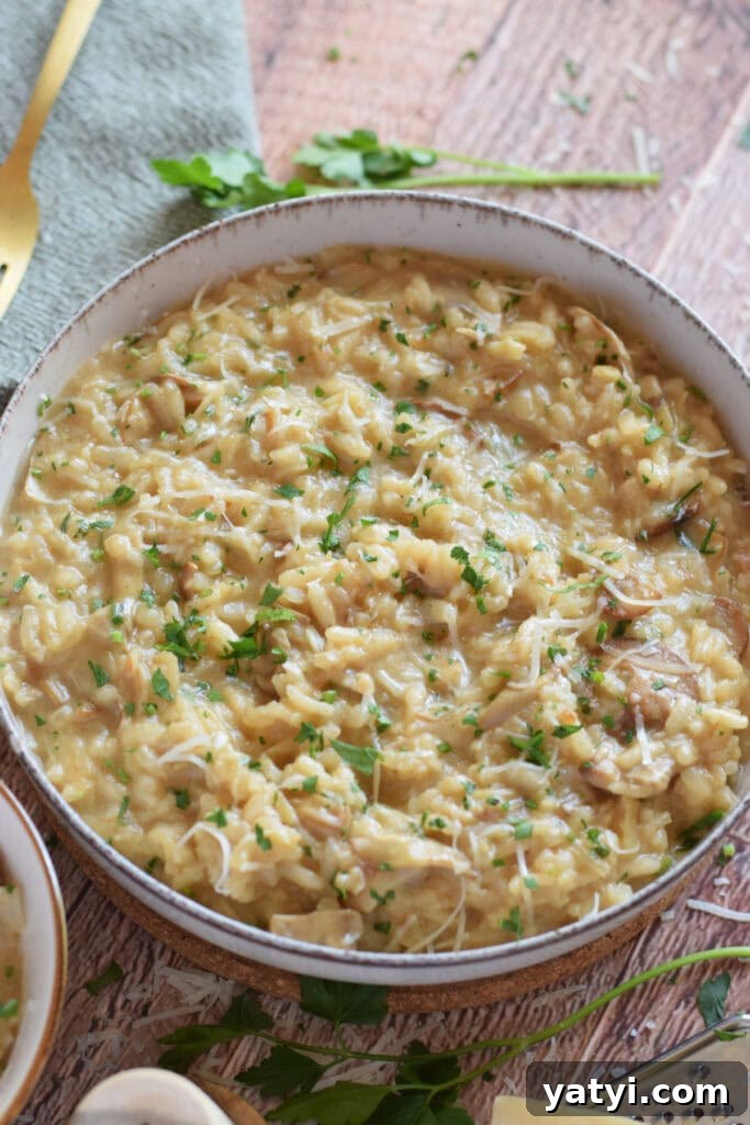 Creamy Mushroom and Leek Risotto Recipe for Cozy Dinners 15 Mushroom and Leek Risotto.
