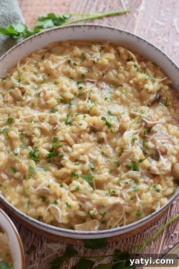 Creamy Mushroom and Leek Risotto Recipe for Cozy Dinners 17 Leek and mushroom risotto in a bowl.