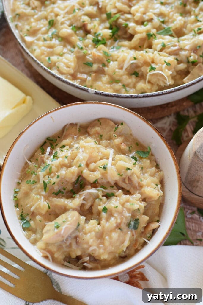 Creamy Mushroom and Leek Risotto Recipe for Cozy Dinners 18 Mushroom and leek risotto a serving bowl.