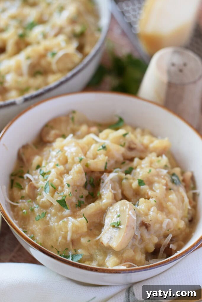 Creamy Mushroom and Leek Risotto Recipe for Cozy Dinners 3 Mushroom and leek risotto in a small serving dish.
