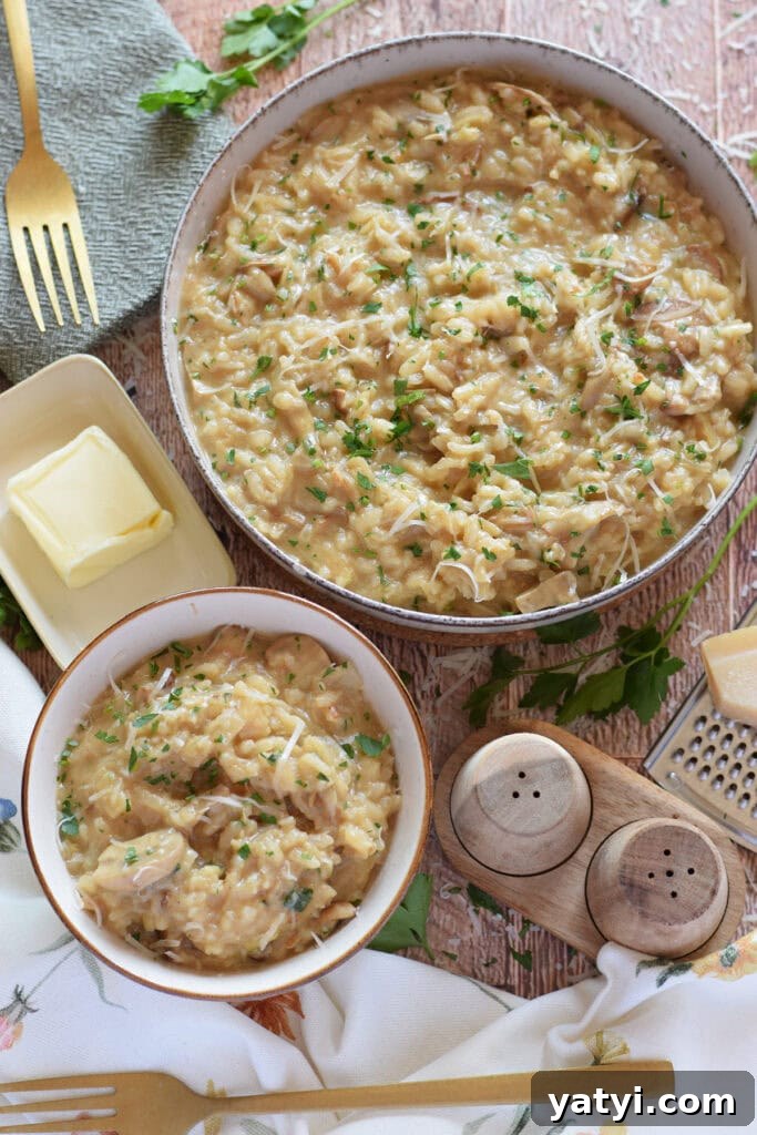 Creamy Mushroom and Leek Risotto Recipe for Cozy Dinners 4 Risotto in serving dishes with butter in a dish.