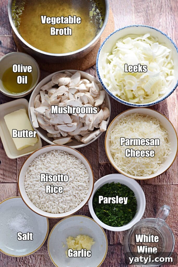 Creamy Mushroom and Leek Risotto Recipe for Cozy Dinners 5 Ingredients to make mushroom and leek risotto.
