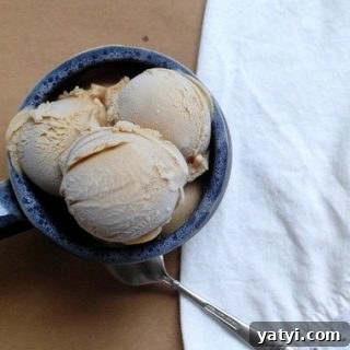 Crème Brûlée Stout Ice Cream Recipe for Ice Cream Tuesday 3 creme brulee stout ice cream