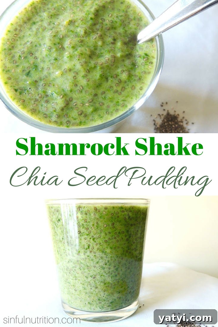 Shamrock Shake Overnight Chia Pudding Recipe 2 Shamrock Shake Chia Seed Pudding Recipe -- A healthy version of everyone's favorite shake that's good enough for breakfast! #vegan #paleo #glutenfree