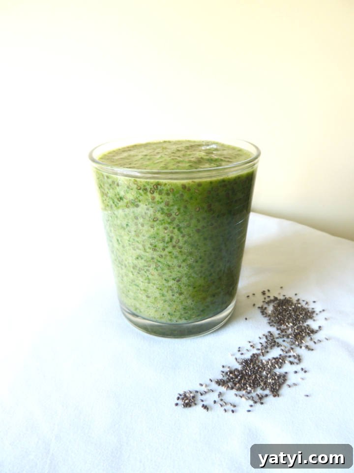 Shamrock Shake Overnight Chia Pudding Recipe 4 Shamrock Shake Chia Seed Pudding Recipe