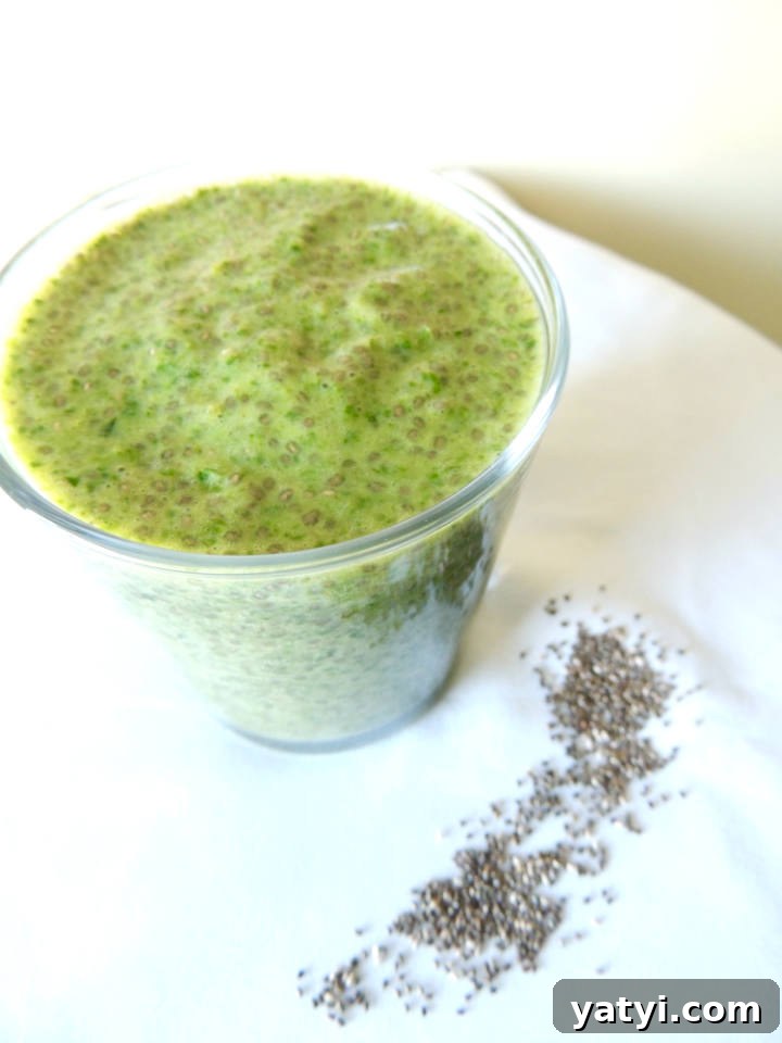 Shamrock Shake Overnight Chia Pudding Recipe 5 Shamrock Shake Chia Seed Pudding Recipe