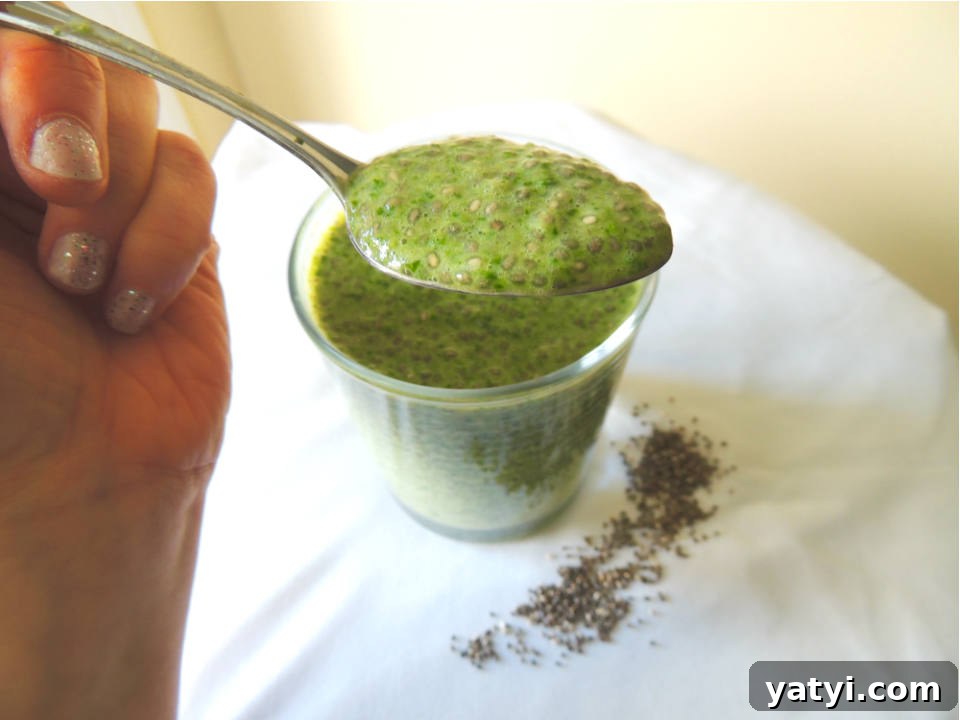 Shamrock Shake Overnight Chia Pudding Recipe 6 Shamrock Shake Chia Seed Pudding Recipe -- A healthy version of everyone's favorite shake that's good enough for breakfast! #vegan #paleo #glutenfree