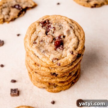 Ultimate Chewy Chocolate Chip Cookie Recipe 9 img 975 12