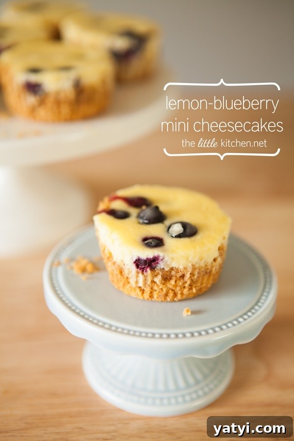 Lemon Blueberry Mini Cheesecakes from The Little Kitchen Lemon Blueberry Mini Cheesecakes