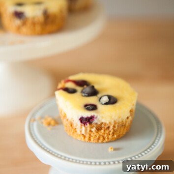 Lemon Blueberry Mini Cheesecakes Recipe for Perfect Bite-Sized Desserts 3 Lemon Blueberry Mini Cheesecakes