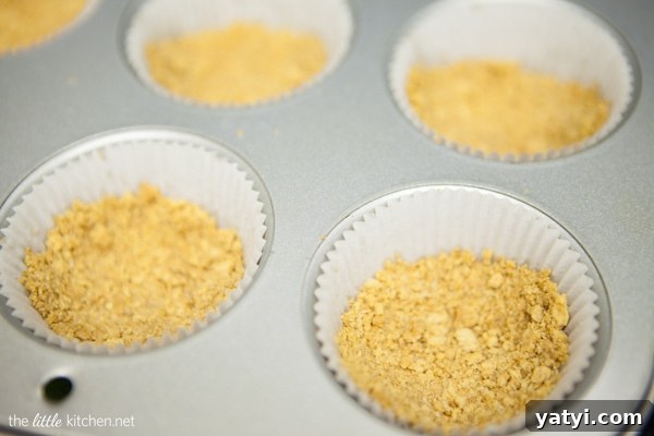 Lemon Blueberry Mini Cheesecakes from The Little Kitchen Lemon Blueberry Mini Cheesecakes