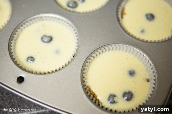 Lemon Blueberry Mini Cheesecakes from The Little Kitchen Lemon Blueberry Mini Cheesecakes