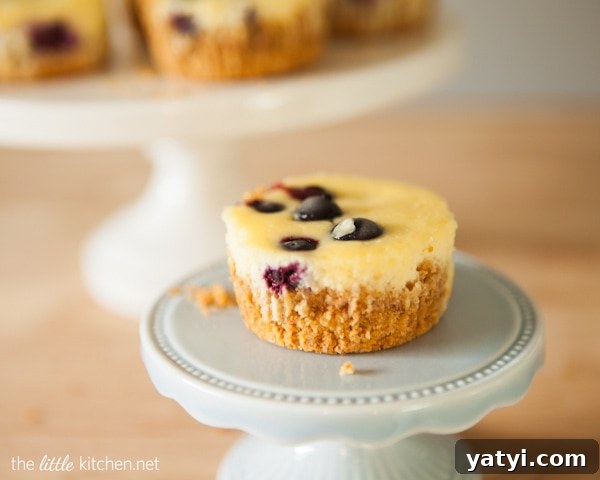 Lemon Blueberry Mini Cheesecakes from The Little Kitchen Lemon Blueberry Mini Cheesecakes