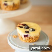 Lemon Blueberry Mini Cheesecakes Recipe for Perfect Bite-Sized Desserts 2 Lemon Blueberry Mini Cheesecakes