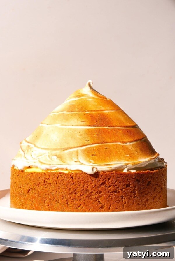 Lemon Meringue Tart Recipe with Crispy Crust and Fluffy Meringue 18 img 997427 17