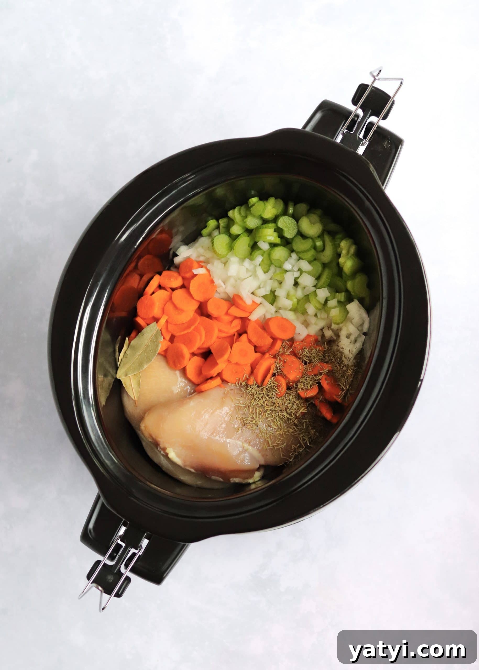 Hearty Slow Cooker Chicken Noodle Soup Recipe 3 Carrots, celery, onion, chicken breasts and spices in slow cooker.