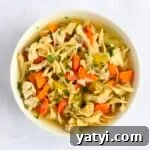 Bowl of chicken noodle soup
